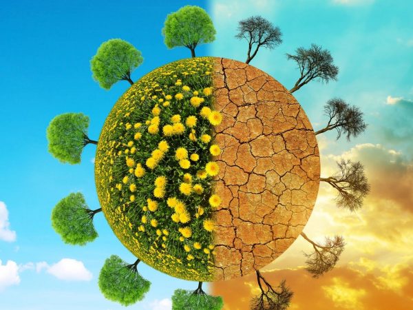 Guia Cambio Climatico